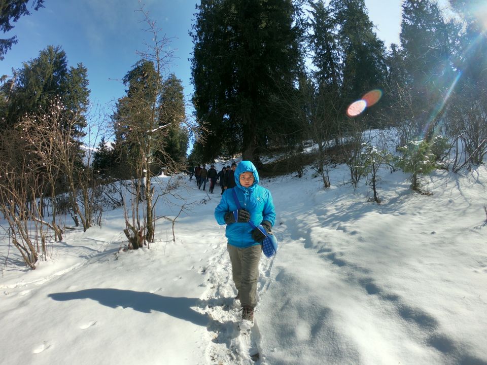 Photo of Snow trek in Sterling Forest, Manali by rituparna saha