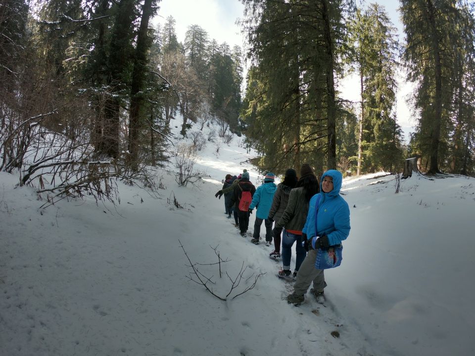 Photo of Snow trek in Sterling Forest, Manali by rituparna saha