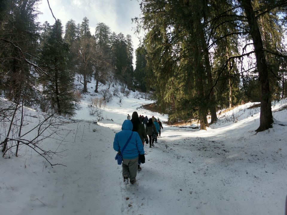 Photo of Snow trek in Sterling Forest, Manali by rituparna saha