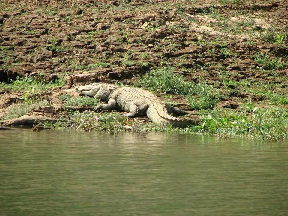 Photo of Satkosia Tiger Reserve by rituparna saha
