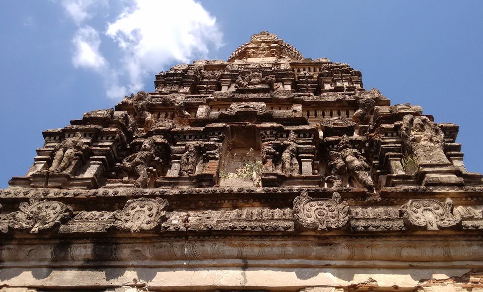 Photo of Kolkata to Dhanushkodi(India's Ghost Town) by Car with our beloved pet Lily by rituparna saha