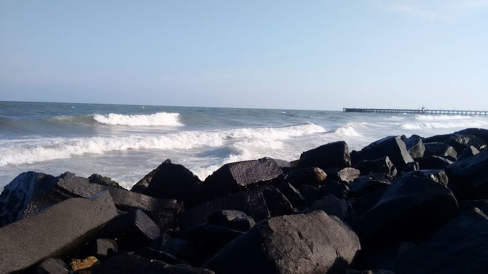 Photo of Kolkata to Dhanushkodi(India's Ghost Town) by Car with our beloved pet Lily by rituparna saha