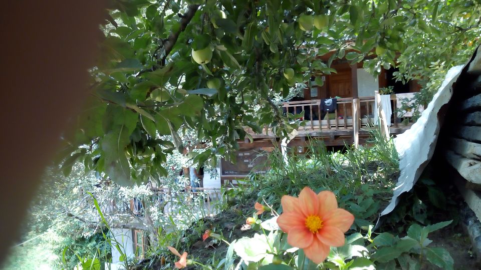 Photo of Hamptapass trek by rituparna saha