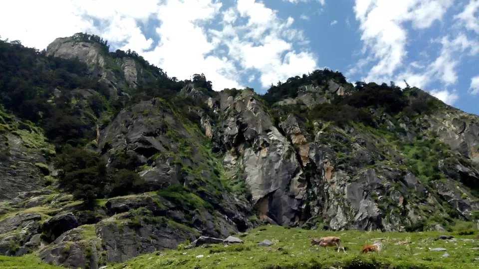 Photo of Hamptapass trek by rituparna saha