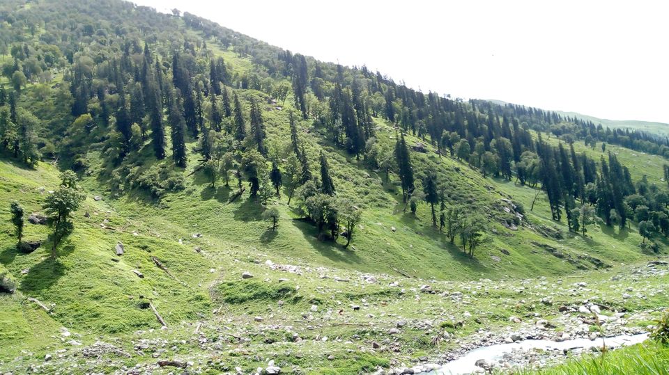Photo of Hamptapass trek by rituparna saha