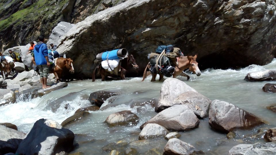 Photo of Hamptapass trek by rituparna saha