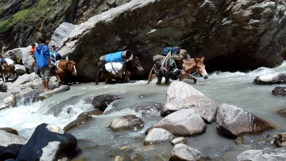 Photo of Hamptapass trek by rituparna saha