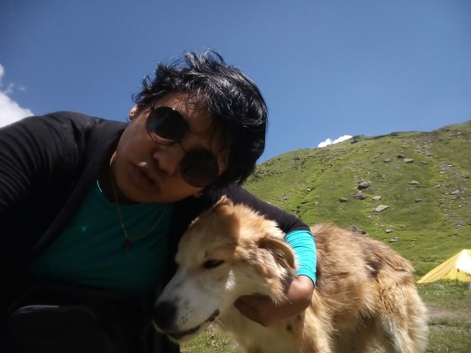 Photo of Hamptapass trek by rituparna saha