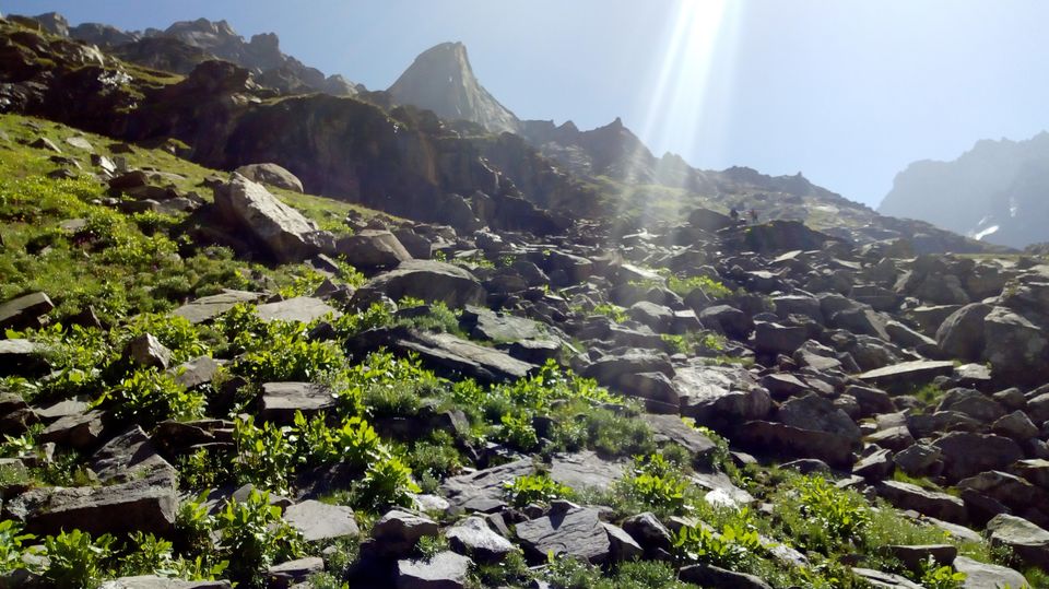 Photo of Hamptapass trek by rituparna saha