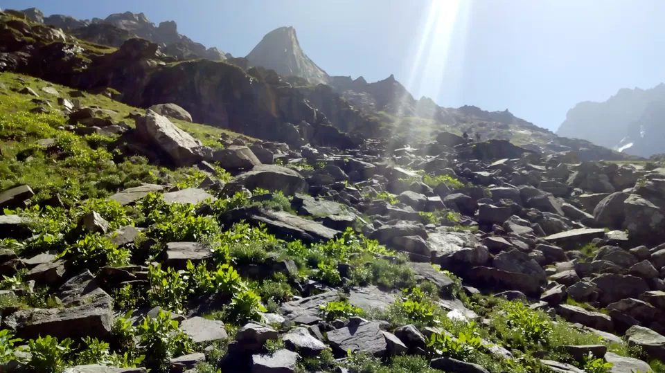 Photo of Hamptapass trek by rituparna saha