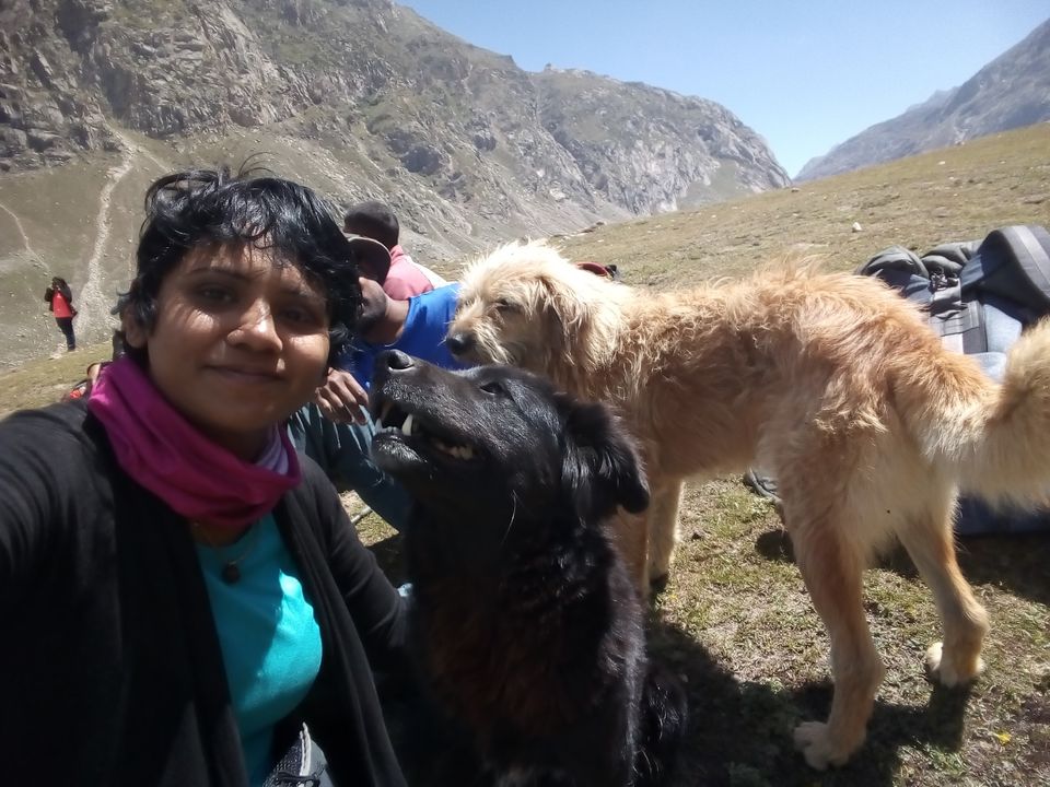Photo of Hamptapass trek by rituparna saha