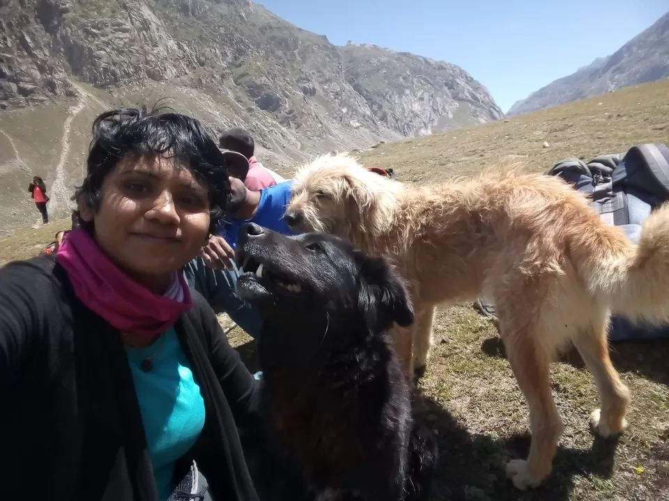 Photo of Hamptapass trek by rituparna saha