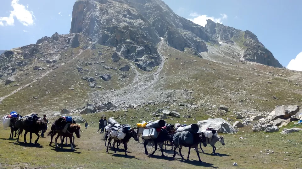 Photo of Hamptapass trek by rituparna saha