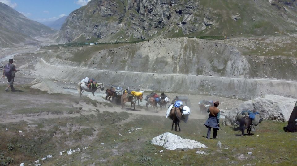 Photo of Hamptapass trek by rituparna saha