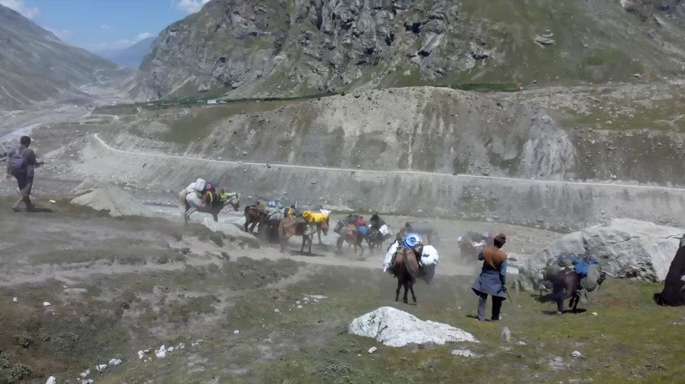 Photo of Hamptapass trek by rituparna saha
