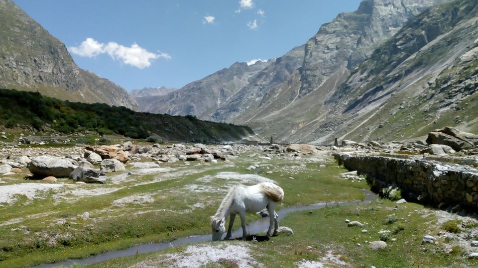 Photo of Hamptapass trek by rituparna saha