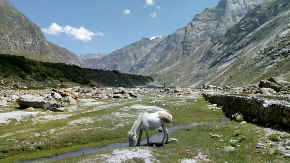 Photo of Hamptapass trek by rituparna saha