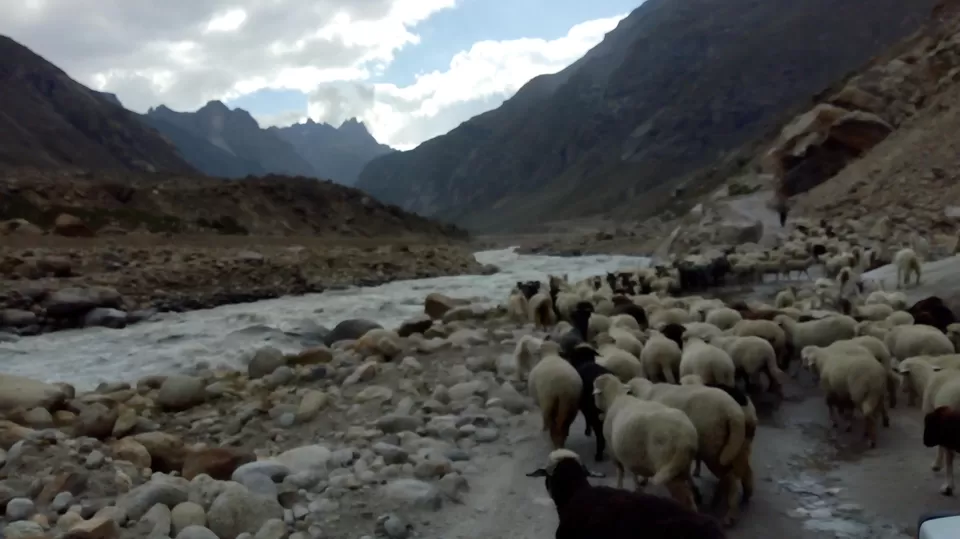 Photo of Hamptapass trek by rituparna saha