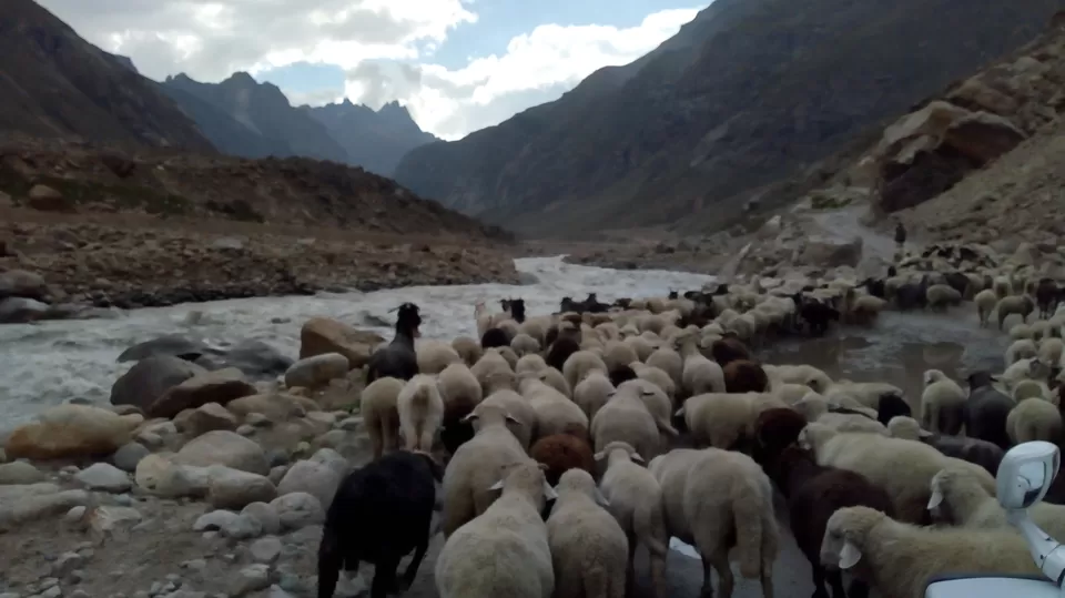 Photo of Hamptapass trek by rituparna saha