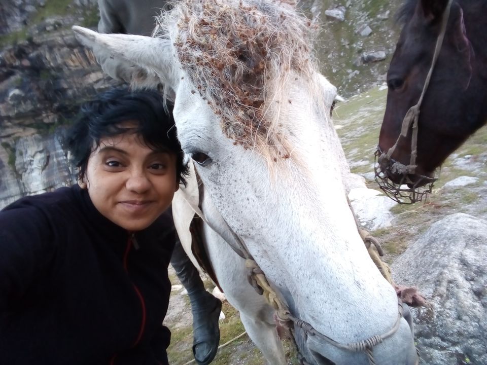 Photo of Hamptapass trek by rituparna saha
