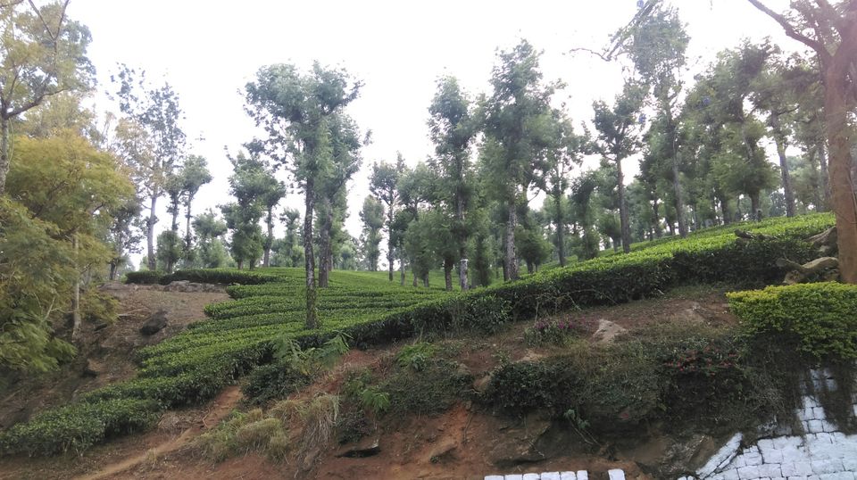 Photo of Valparai, Tamil Nadu, India by Akshay Kannan