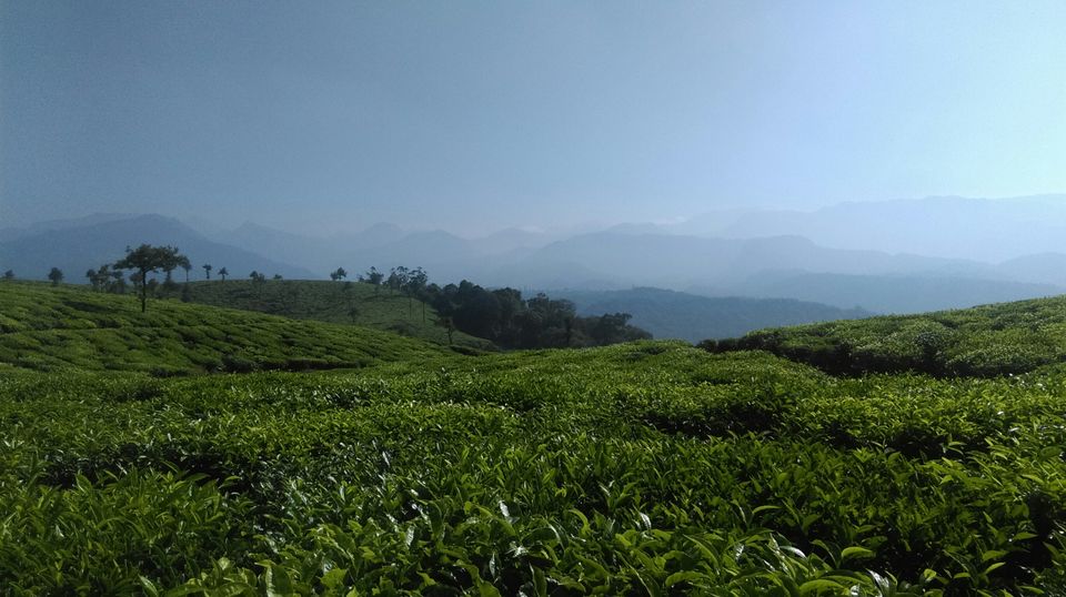 Photo of Destination - Valparai by Akshay Kannan