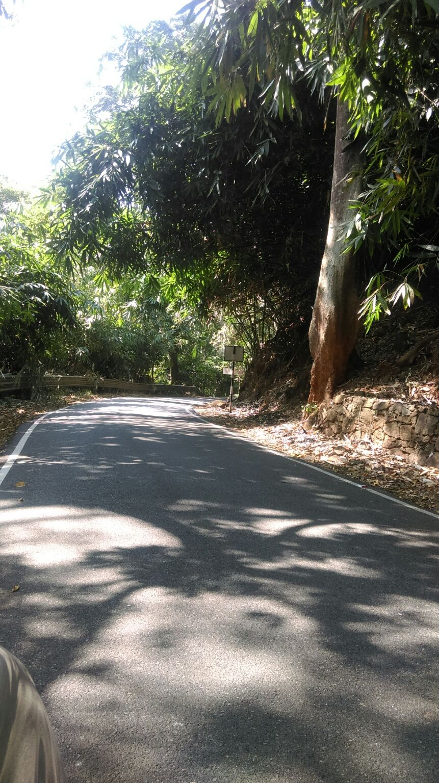 Photo of Destination - Valparai by Akshay Kannan
