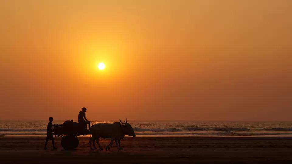Photo of Did You Know About These Gorgeous Konkan Beaches? It's Time To Look Beyond Goa & Gokarna! by Poorvi S