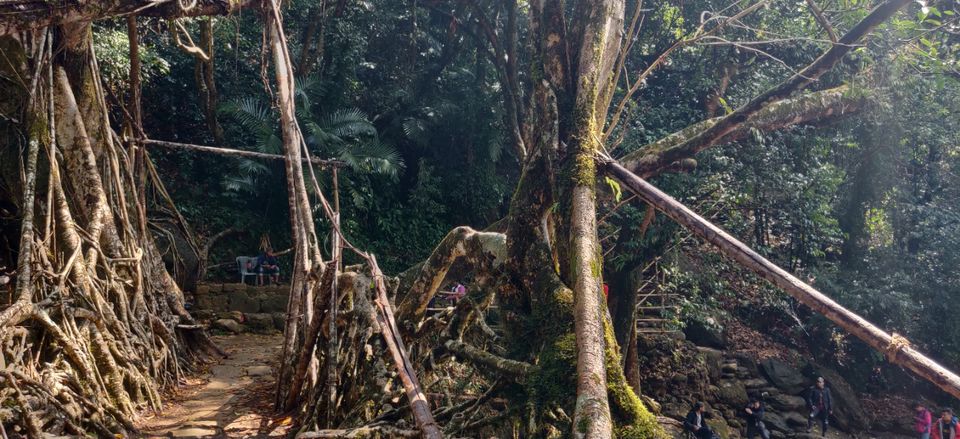 Photo of Meghalaya: A Solo cloudy affair! by Poorvi S