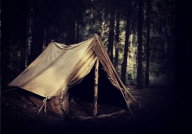 Photo of When I heard whimpers in my tent in the middle of the night! by Poorvi S