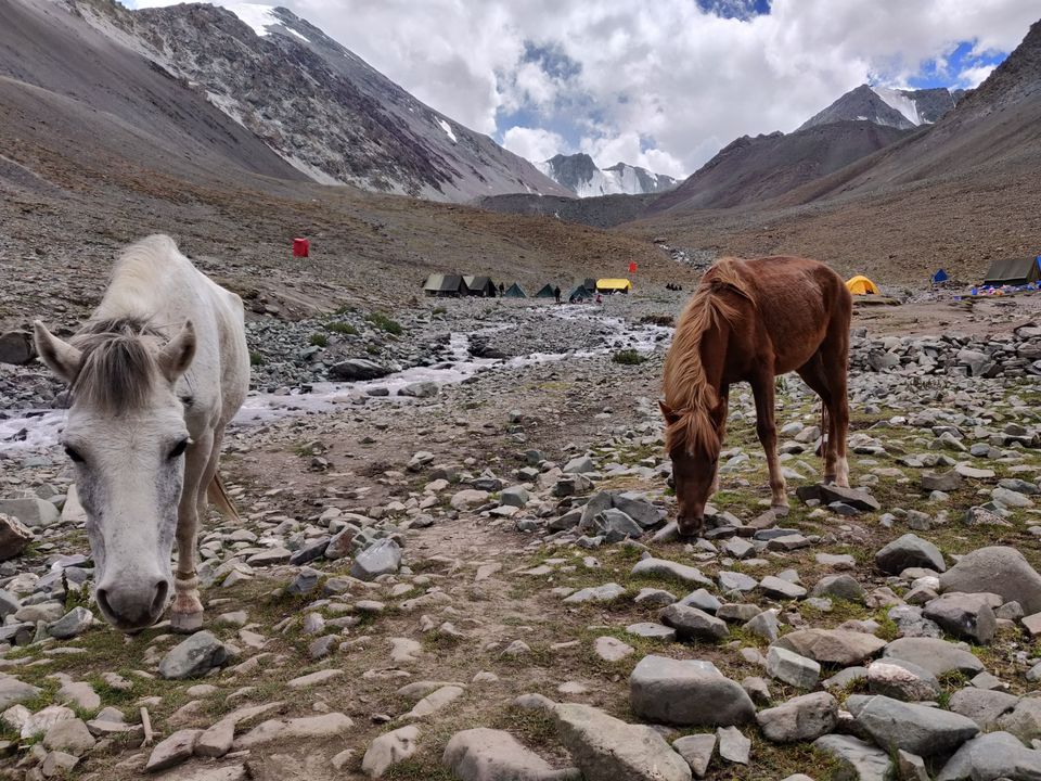 Photo of Stok Kangri by Rohit Gupta