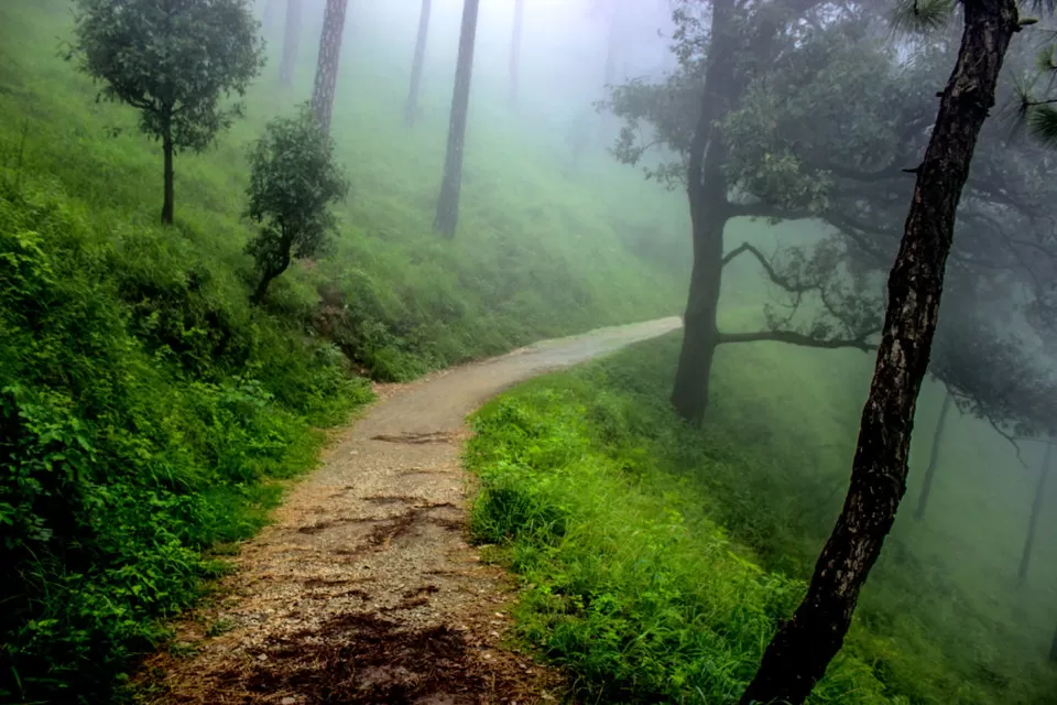 Photo of Kasauli a Magical Wonderland by Rohit Katake