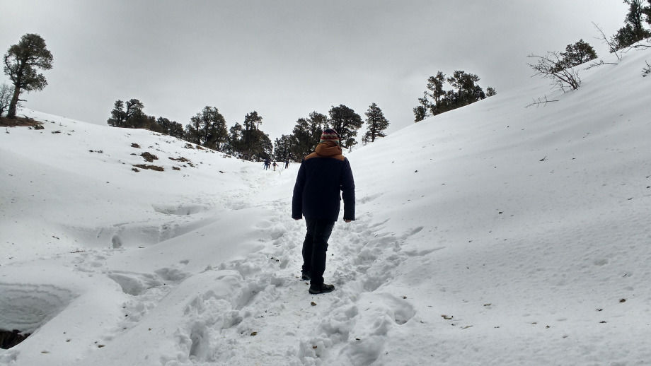 Photo of Nag Tibba - An Easy Weekend Trek by BornomadiC