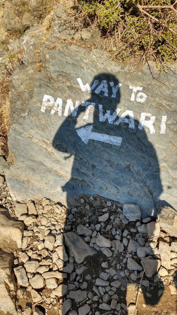 Photo of Pantwari, Uttarakhand, India by BornomadiC