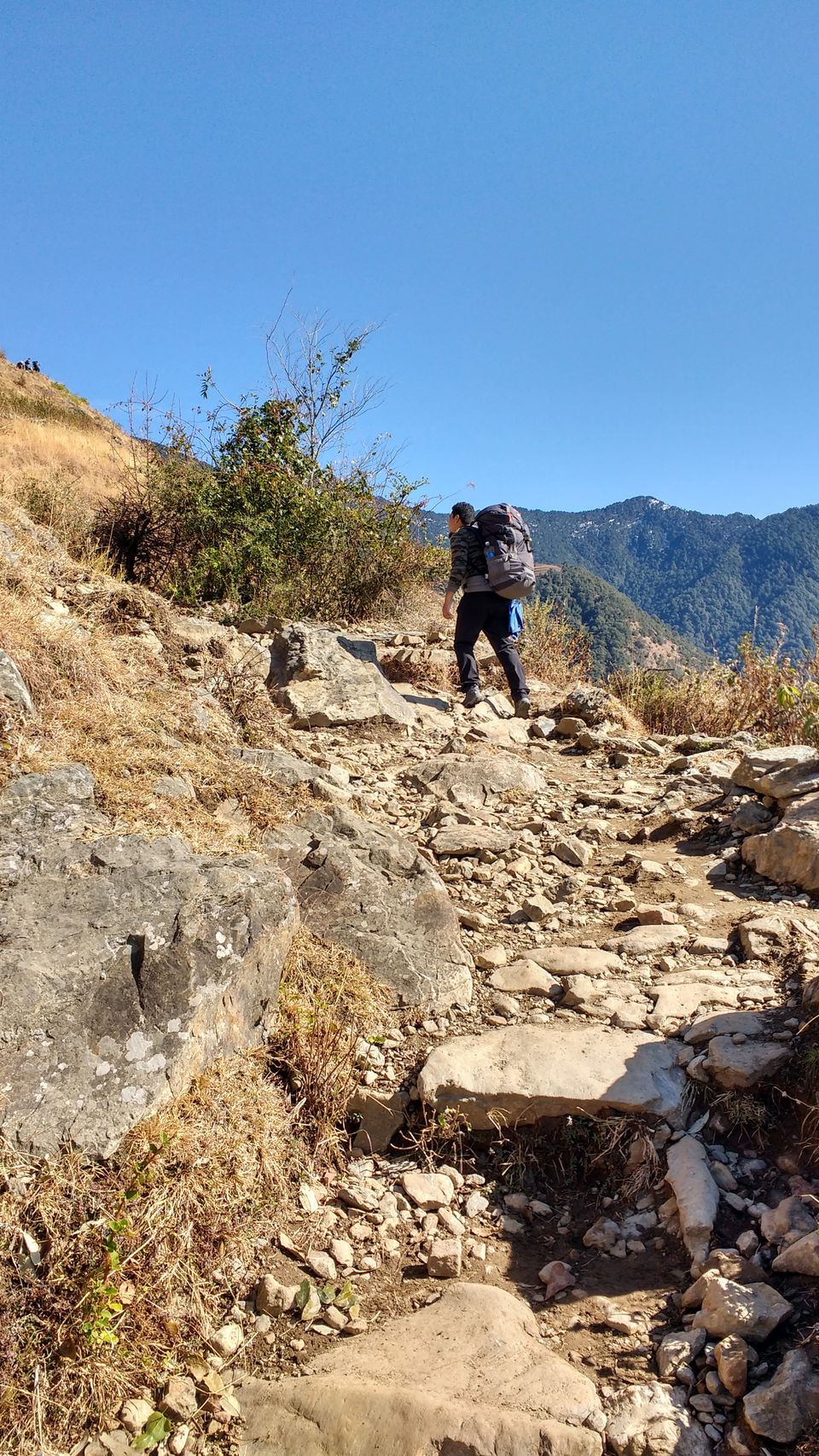 Photo of Nag Tibba - An Easy Weekend Trek by BornomadiC
