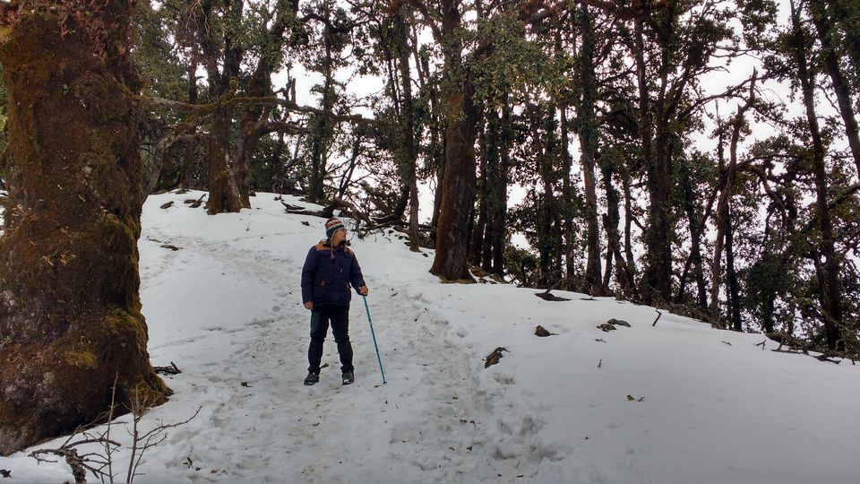 Photo of Nag Tibba - An Easy Weekend Trek by BornomadiC