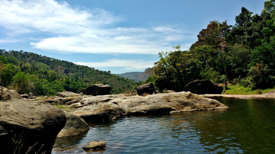 Photo of Munnar - In and Around by Born.Nomadic