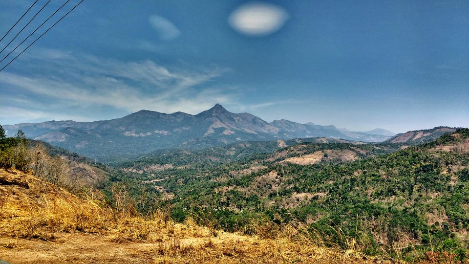 Photo of Munnar - In and Around by Born.Nomadic