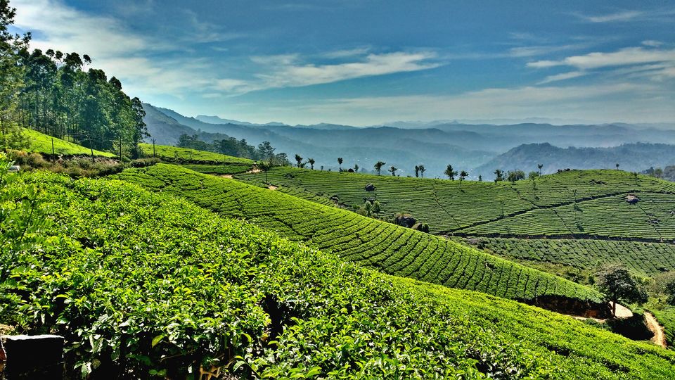 Photo of Munnar - In and Around by Born.Nomadic