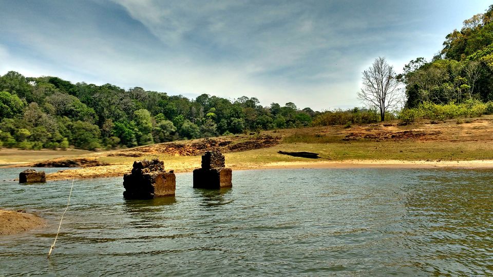 Photo of Misty Green – Thekkady by Born.Nomadic