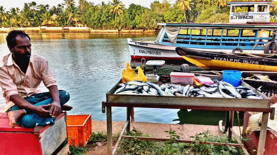 Photo of A Backwater Symphony from Alleppey to Kochi by Born.Nomadic
