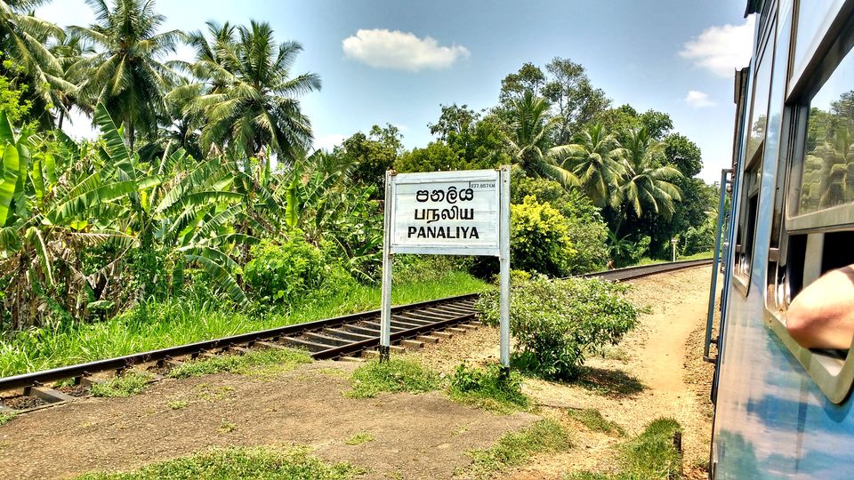 Photo of Day 2 (Chennai - Colombo - Kandy) by Born.Nomadic