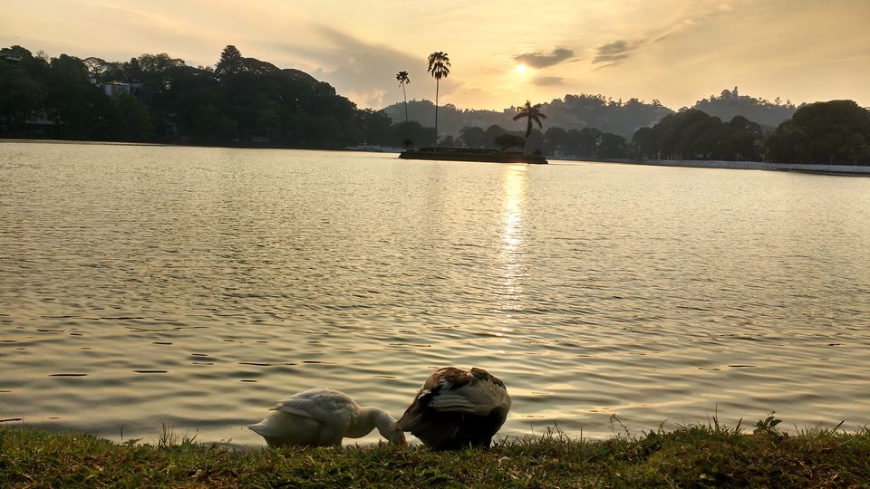 Photo of Day 2 (Chennai - Colombo - Kandy) by Born.Nomadic