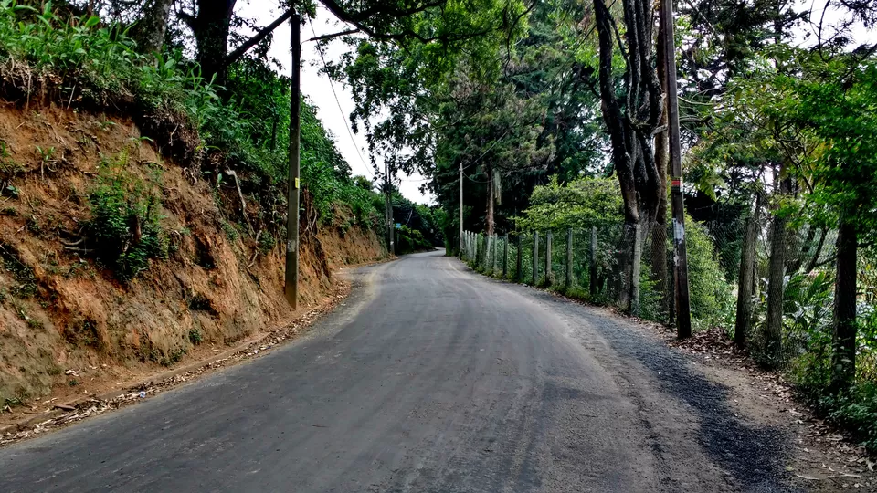 Photo of Nuwara Eliya, Central Province, Sri Lanka by Born.Nomadic