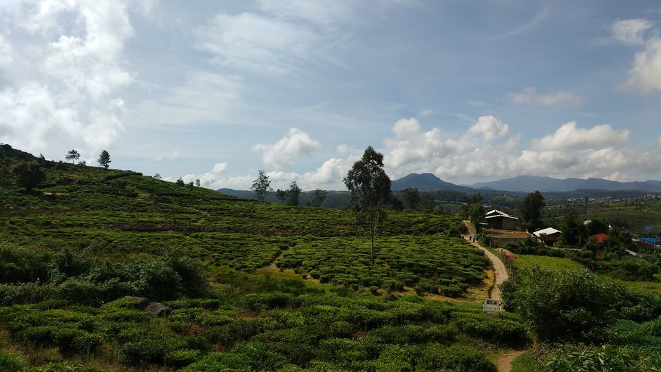 Photo of Lover's leap Waterfall, Nuwara Eliya, Sri Lanka by BornomadiC