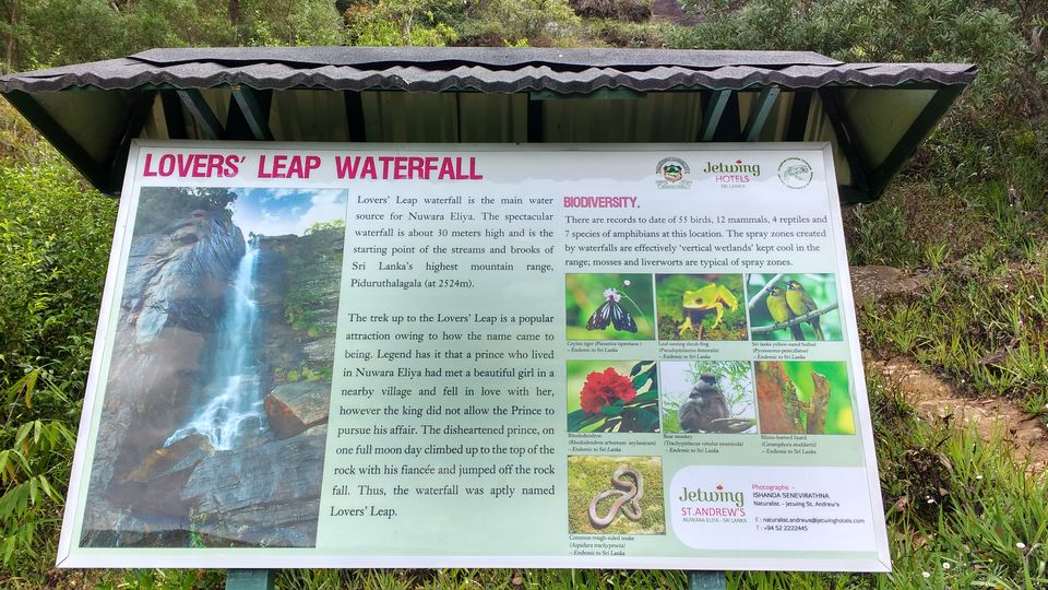 Photo of Day 5 (Nuwara Eliya) by BornomadiC