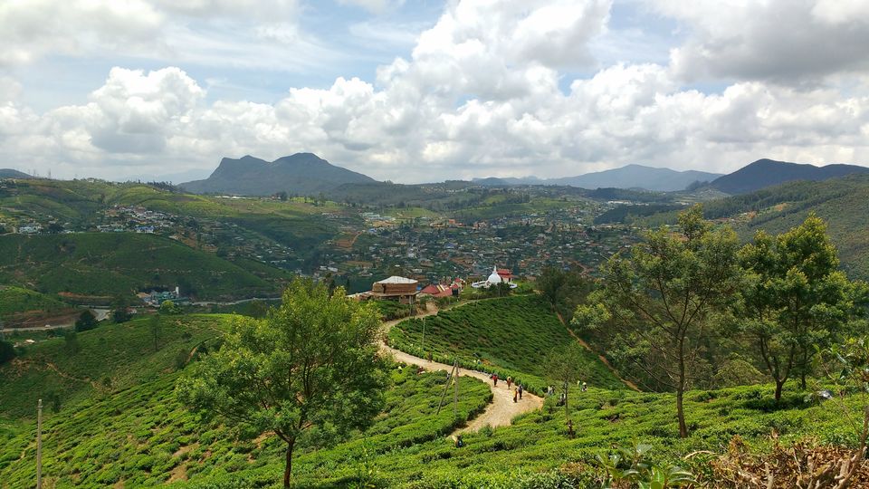 Photo of Single Tree Hill, Nuwara Eliya, Central Province, Sri Lanka by BornomadiC