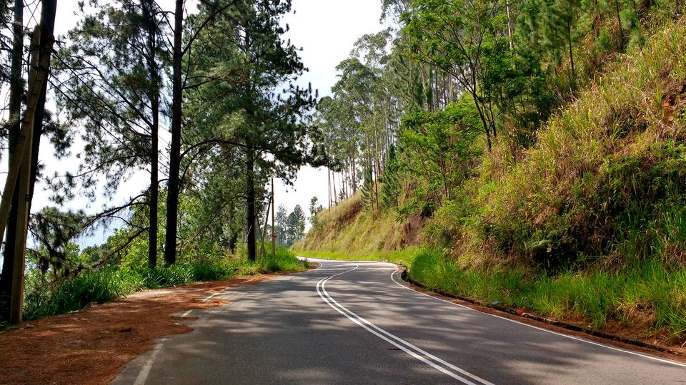 Photo of Day 5 (Nuwara Eliya) by BornomadiC