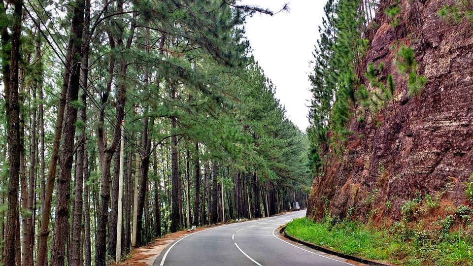 Photo of Day 5 (Nuwara Eliya) by BornomadiC