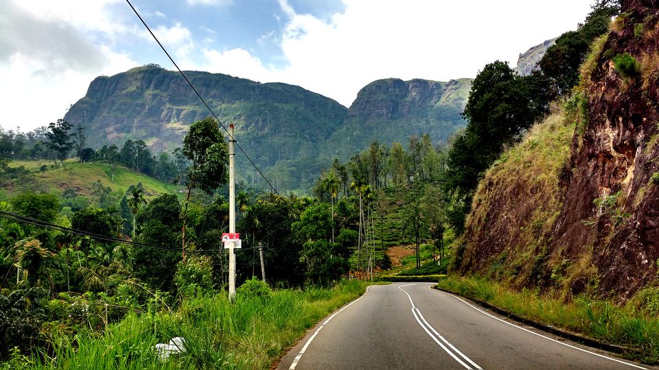 Photo of Day 5 (Nuwara Eliya) by BornomadiC